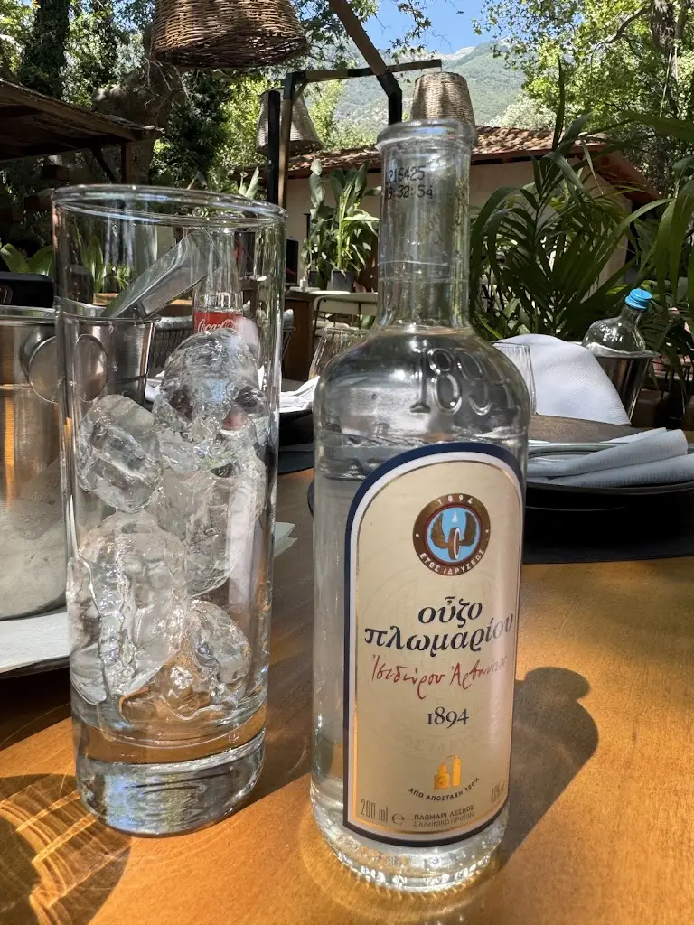 Aleksandar Avramovic_Bostani_Nikísiani_review