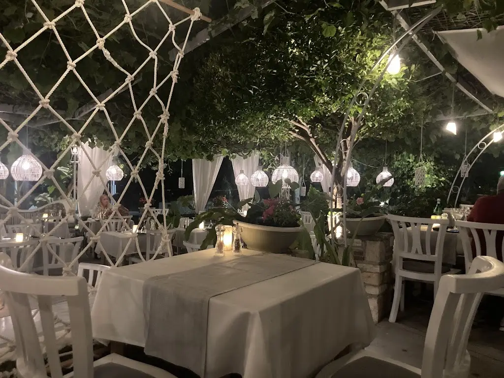 Alex Jackson_PETRINO_Peteinós_review