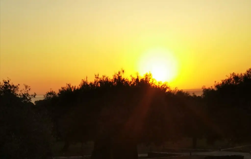 Mil Frisch_Ipsario Garden Restaurant_Potamiá_review