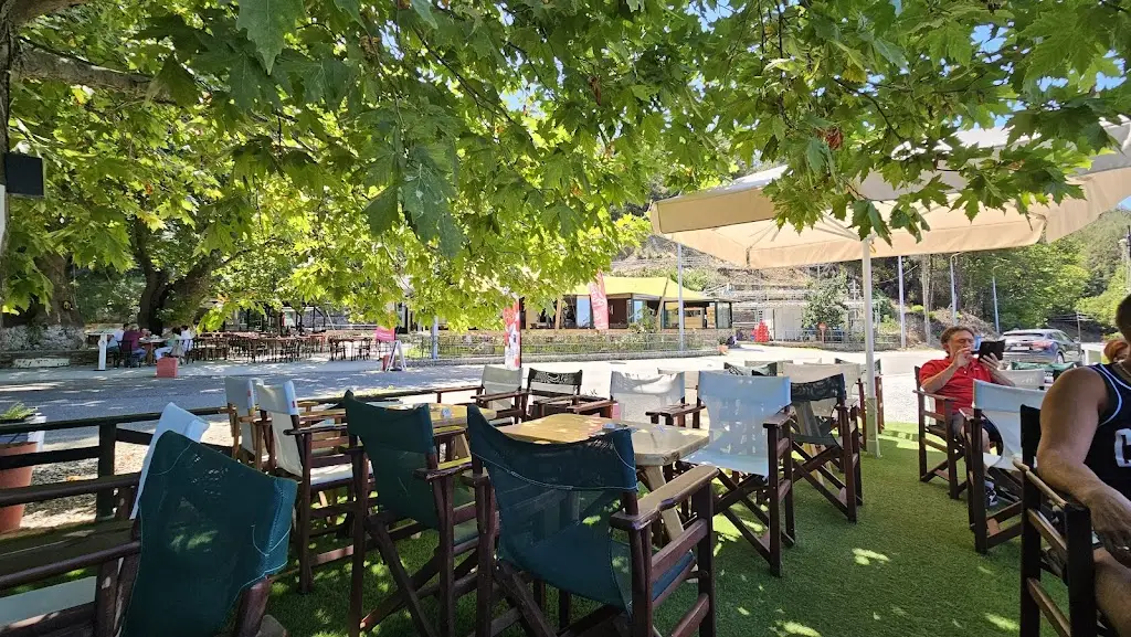 Nikola Marković_Taverna Grill Ta Platania_Potamiá_Bewertung