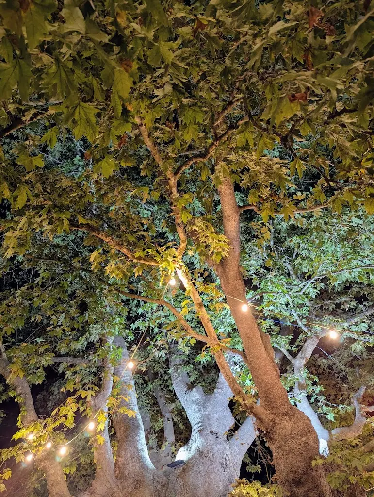 Kate Mateeva_Taverna Grill Ta Platania_Potamiá_Bewertung