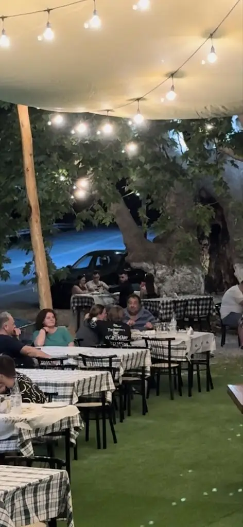 Taverna Grill Ta Platania_Potamiá_slider_image_1