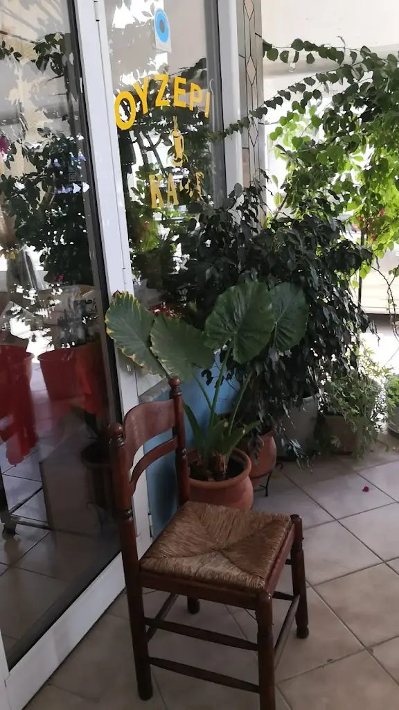 Loukas Xenopoulos_Taverna Perazmos_Paralía Ofryníou_Bewertung