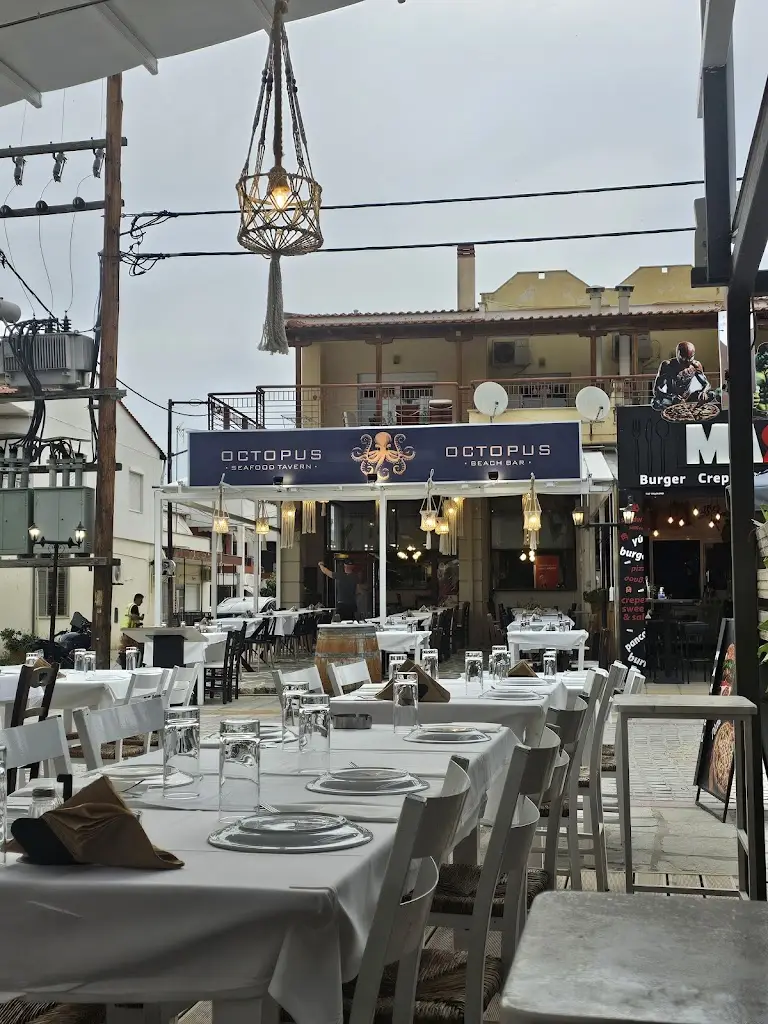 OCTOPUS Seafood Tavern_Paralía Ofryníou_slider_image_1