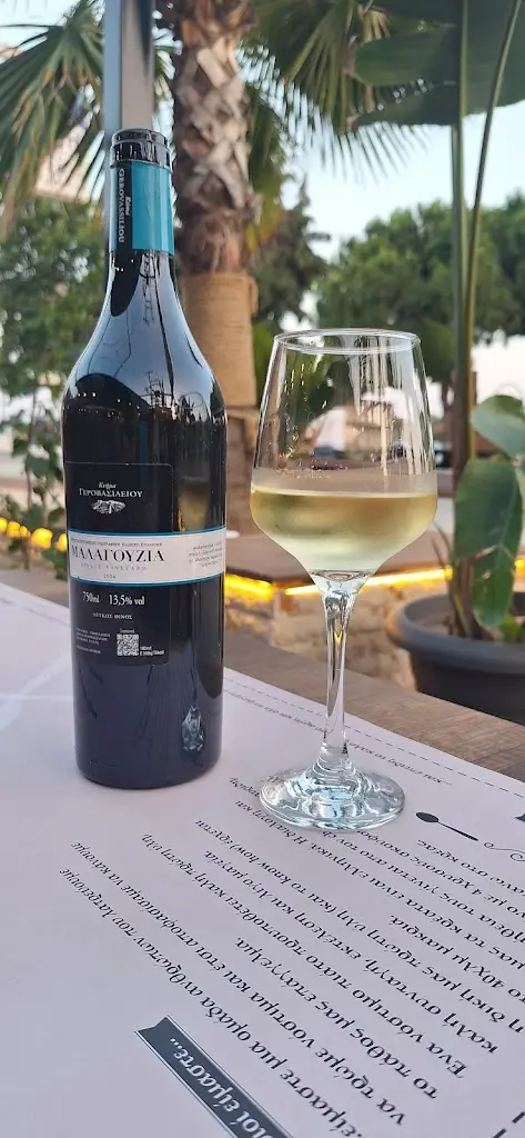 Vanessa Newton_Broz Steak & Burger House_Paralía Ofryníou_Bewertung