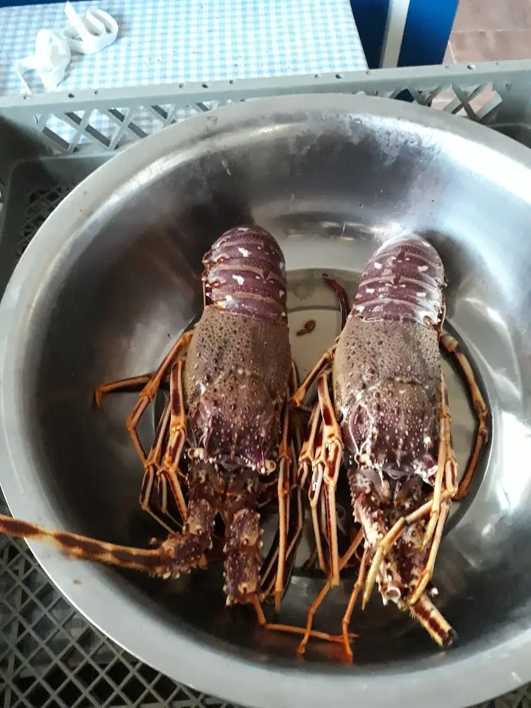 Menü_Ταβέρνα 