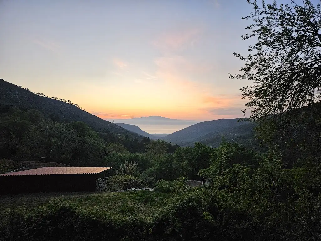 Neli Staneva_Mikro Kazaviti_Prínos_review