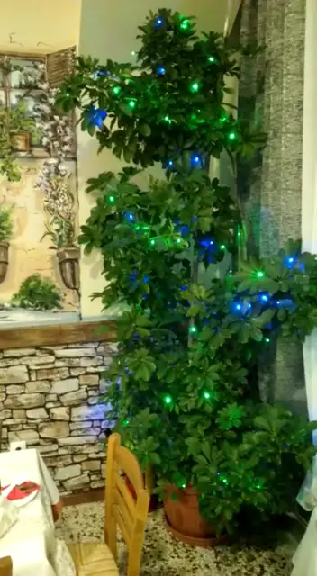 Ambrosia Restaurant_Thásos_slider_image_2