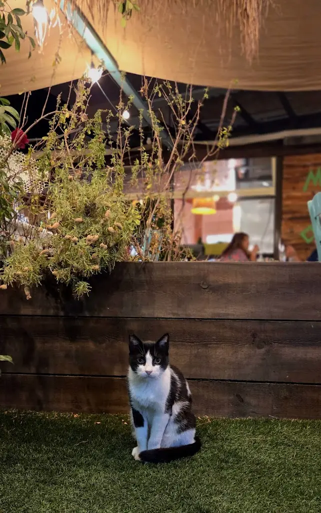 Jean Blagoi_Mouses_Thásos_Bewertung