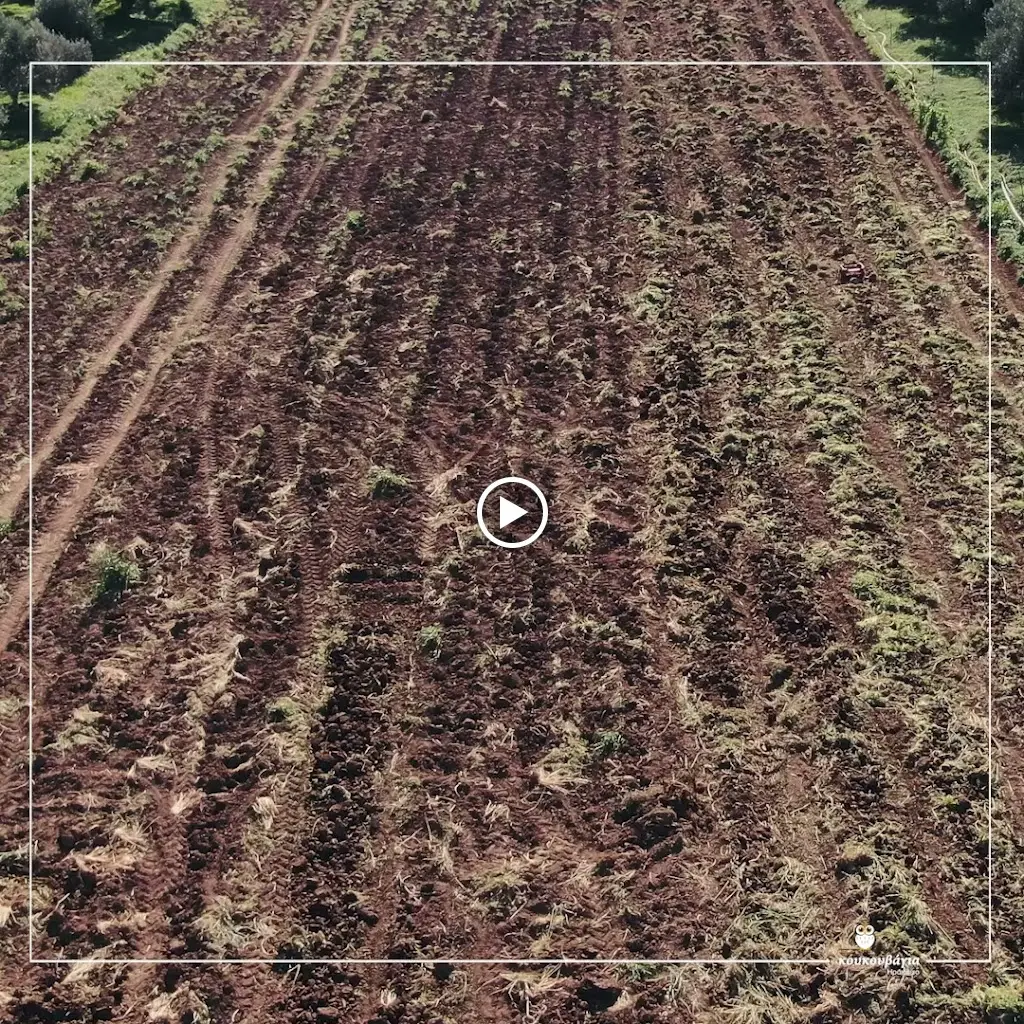 Koukouvagia - Cretan Cuisine_Irákleio_slider_image_2