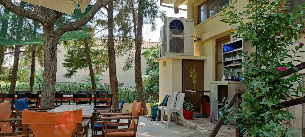 Alina Rauca_Bereket_Souflí_reseña