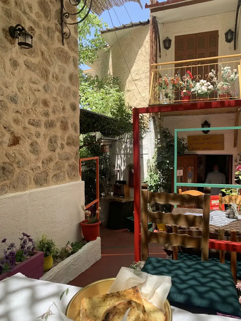 To Kelari tou Gatou_Kaisarianí_slider_image_2