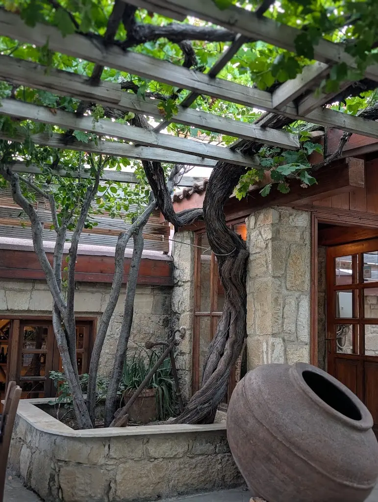 Mehmet Yavuz Baltacı_Λαδόκολλα ο σακης_Souflí_Bewertung