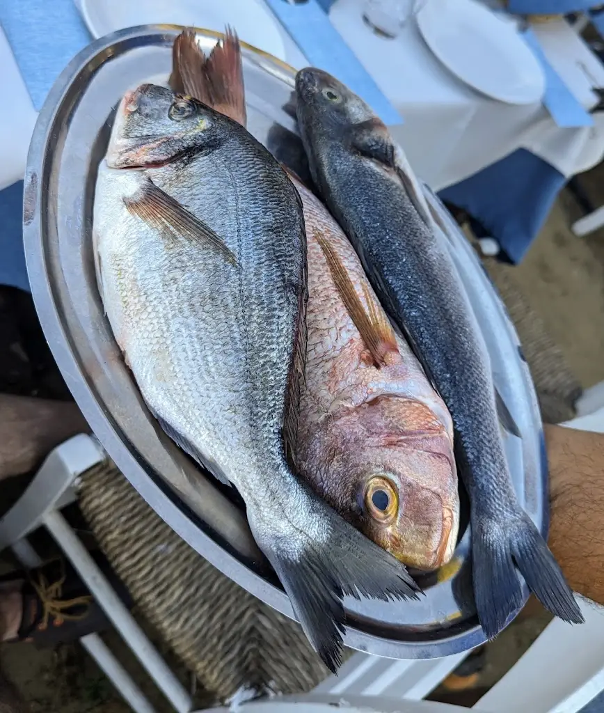 Menü_Ble Akrogiali Beach bar & Restaurant_Xiropótamos_Bild_9