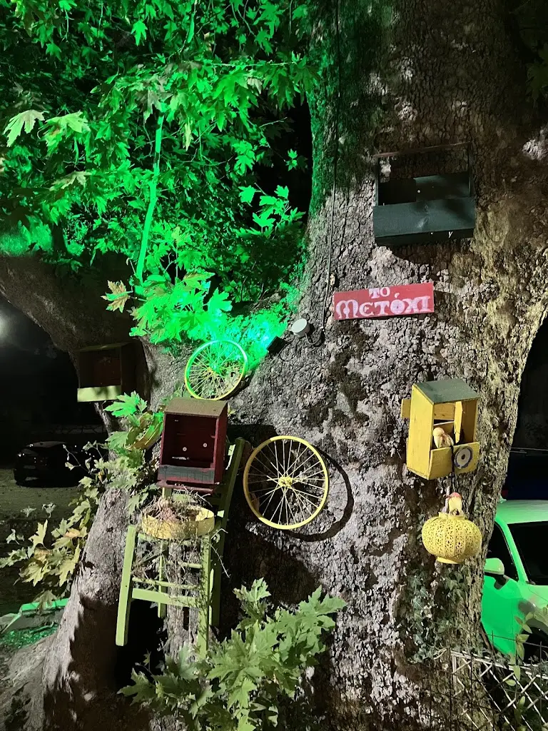 Claudia Nita_Το Μετόχι_Xiropótamos_avis