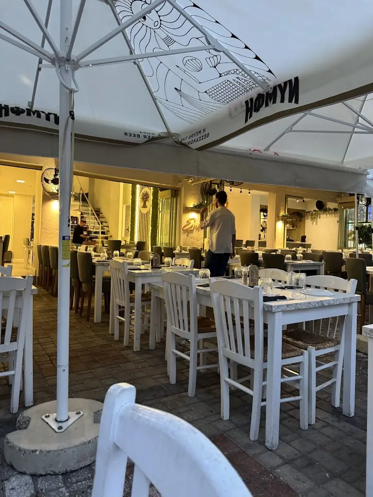 Bull Dogg_Ελιά_Xánthi_Bewertung