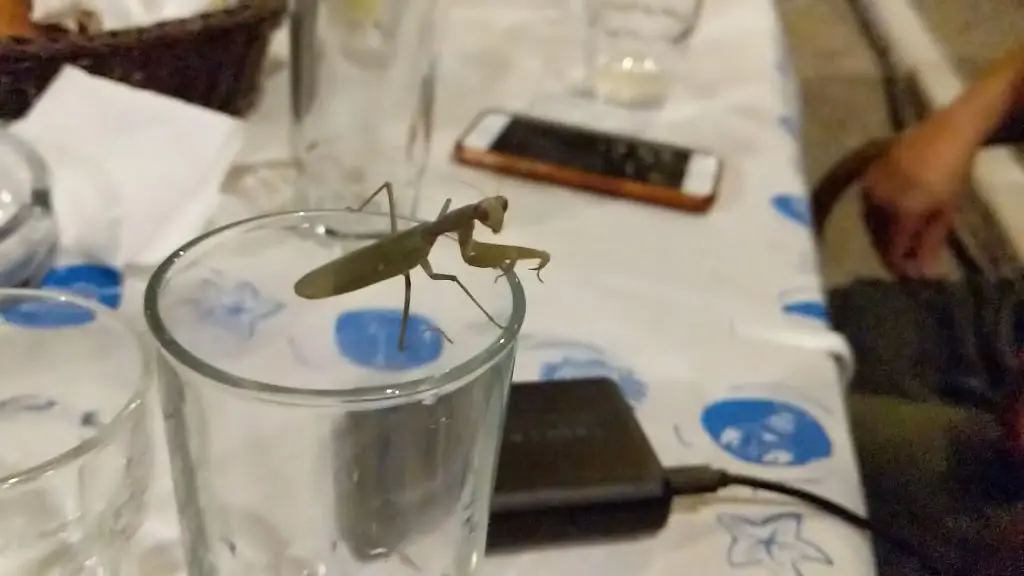 Porto Kalamos Food And Drink_Kálamos_slider_image_2