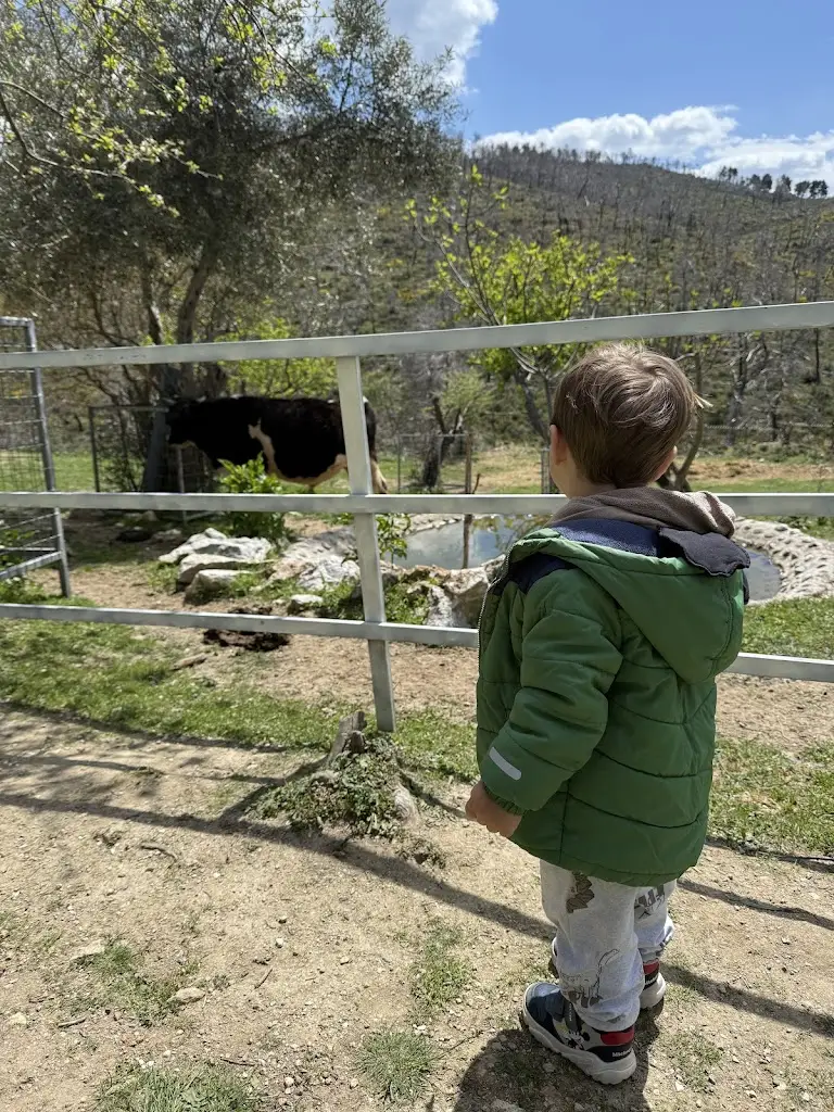 Jannis E_Lakkagkini In Kiourka_Kapandríti_review