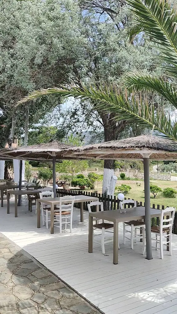 Anoxic Divers_Υδρία - Ψαροταβέρνα Cafe_Maroneia-Sapes_review