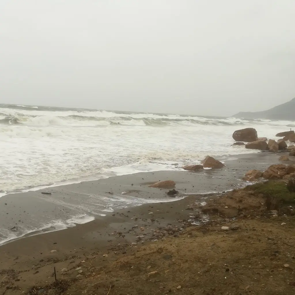 Friends Bistro_Maroneia-Sapes_slider_image_3