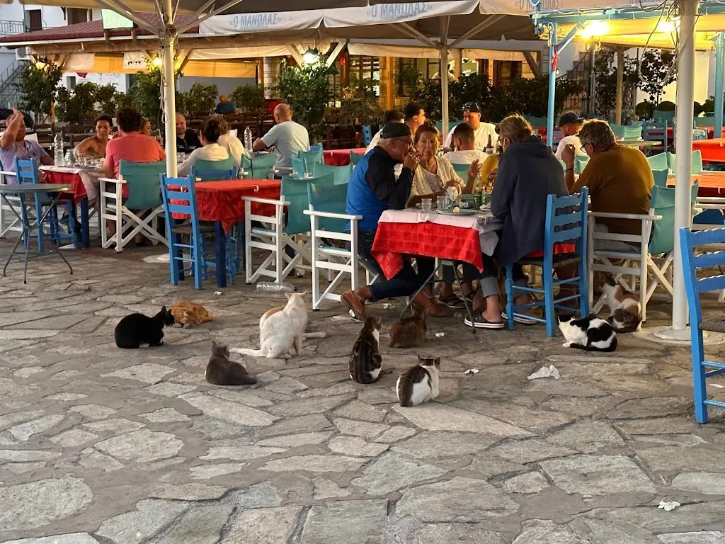 dorothea tosheva_Manolas_Agía Kyriakí_Bewertung