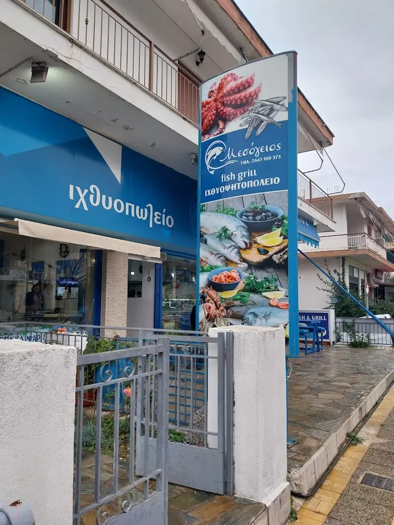 Steev Allan_Mesogeios Igoumenitsa_Igoumenítsa_review