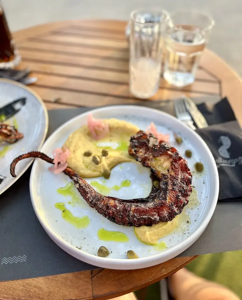 Irina Dimitrova_Maistrali_Igoumenítsa_avis