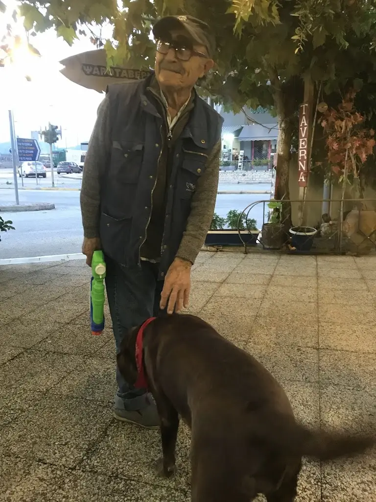 Nika Fadeeva_Timos Taverna_Igoumenítsa_reseña