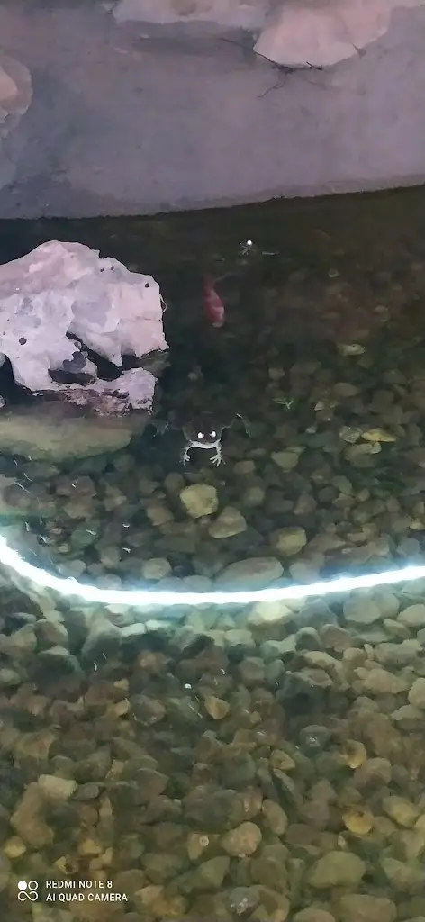 Menu_Pantheon_Kanaláki_image_6