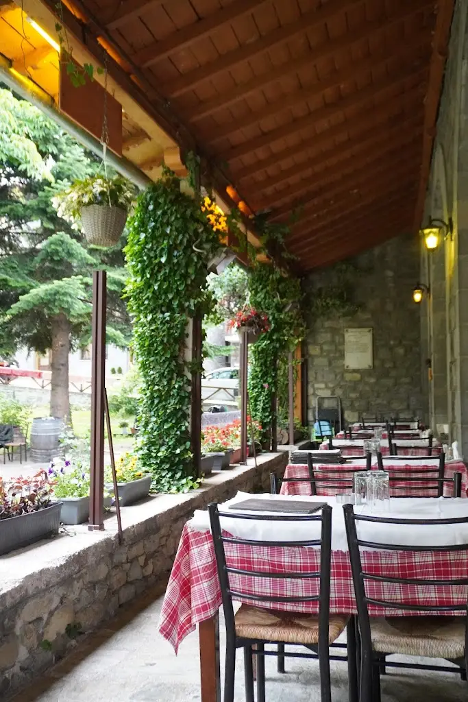 Monika Kemzuraite_Galaxias_Metsovo_review