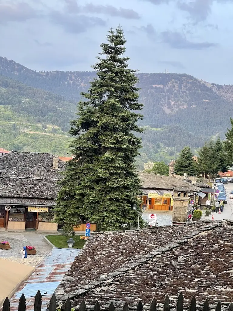 Eran Zohar_Galaxias_Metsovo_review