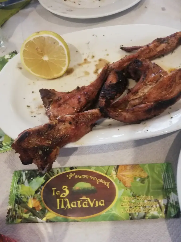 Menü_Tria Platania_Metsovo_Bild_8