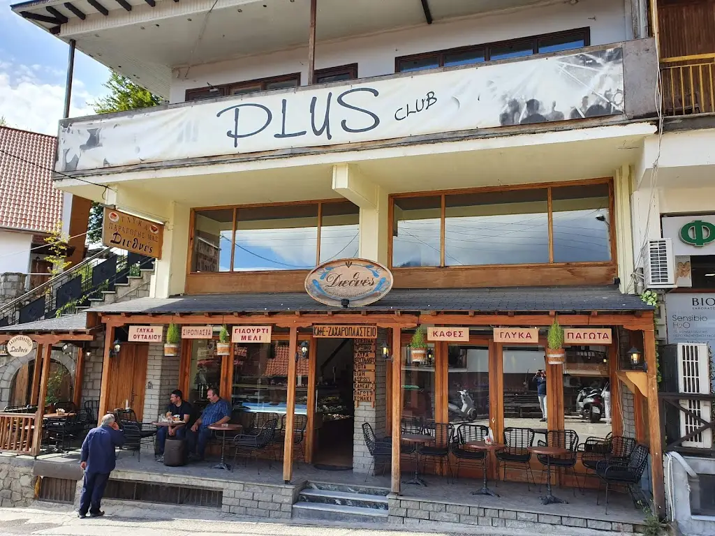 Το Αρχοντικό Restaurant in Metsovo