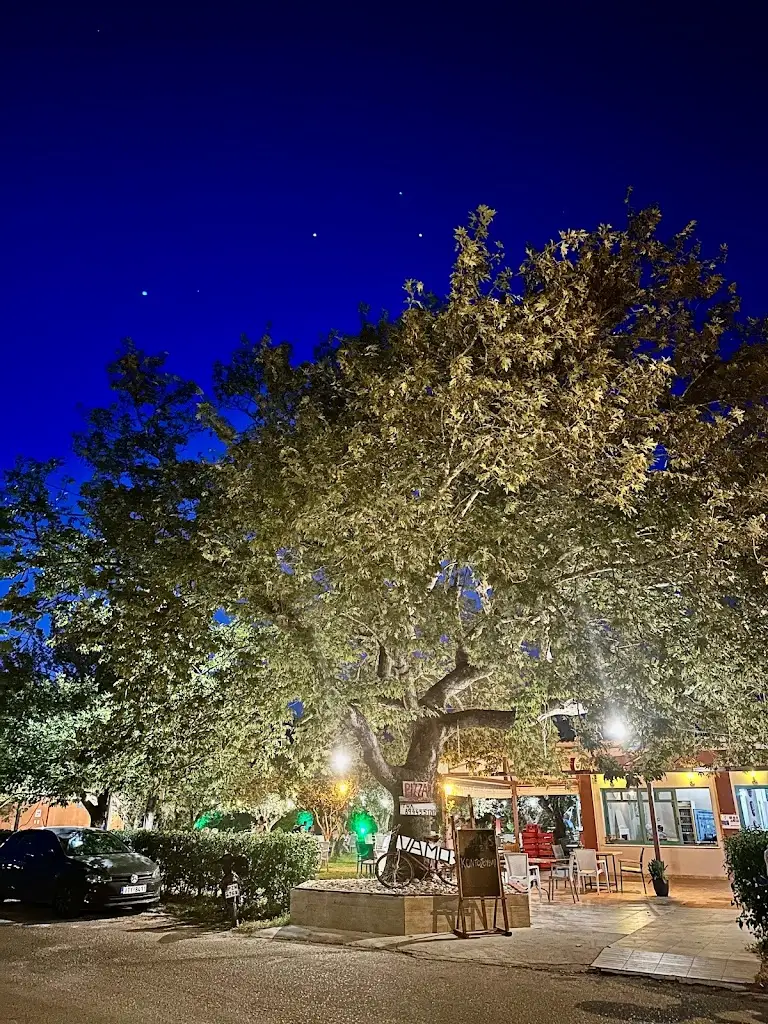 S G_Vamos_Néos Oropós_Bewertung