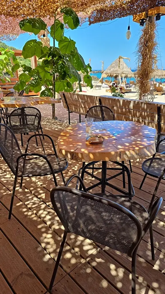 Χελιδόνι / Chelidoni Beach Bar - Restaurant Restaurant in Pérdika