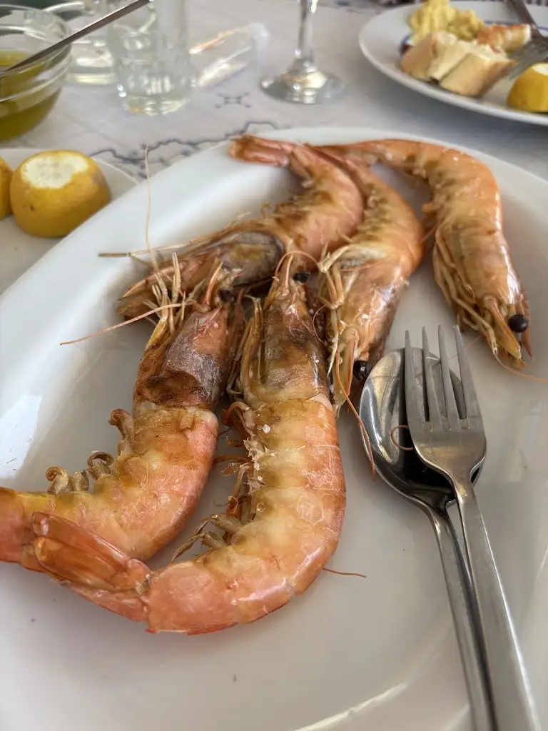 Vasilis Meschinis_Ο ΜΙΛΤΟΣ_Pérdika_Bewertung