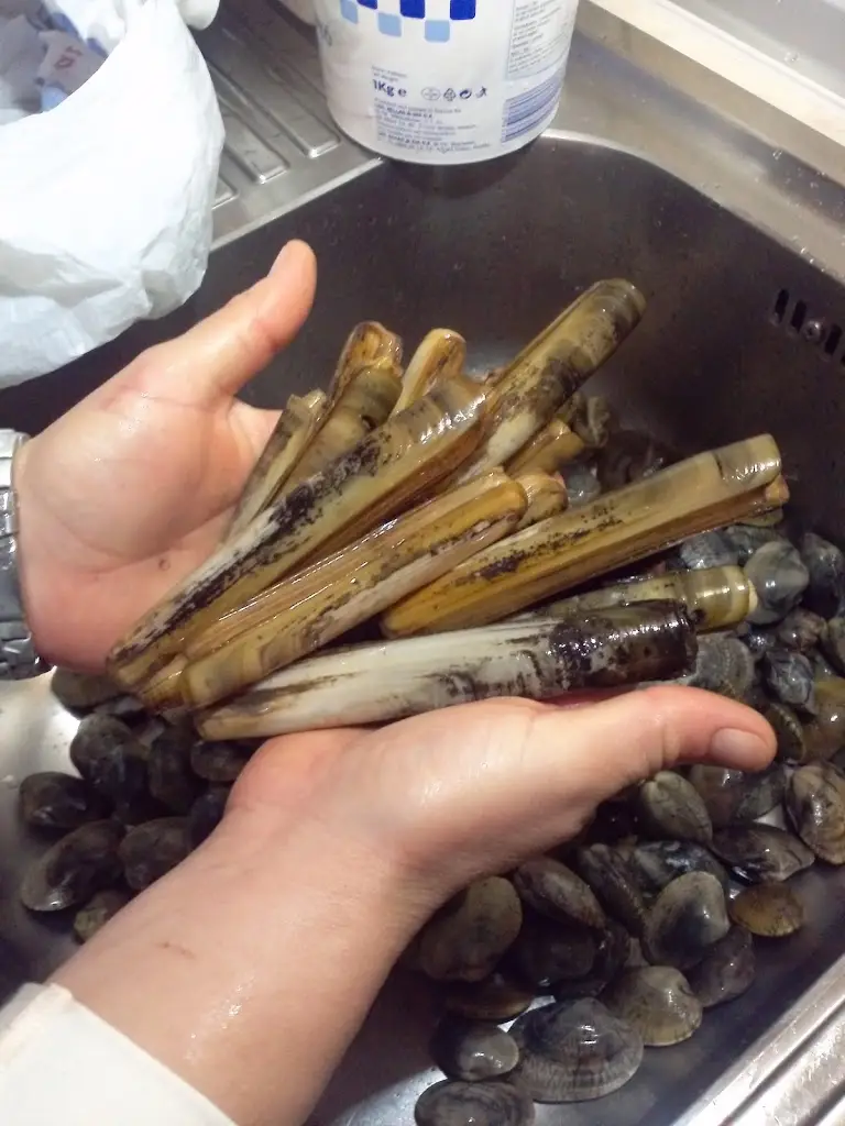 Menü_Greciamare i_Platariá_Bild_2