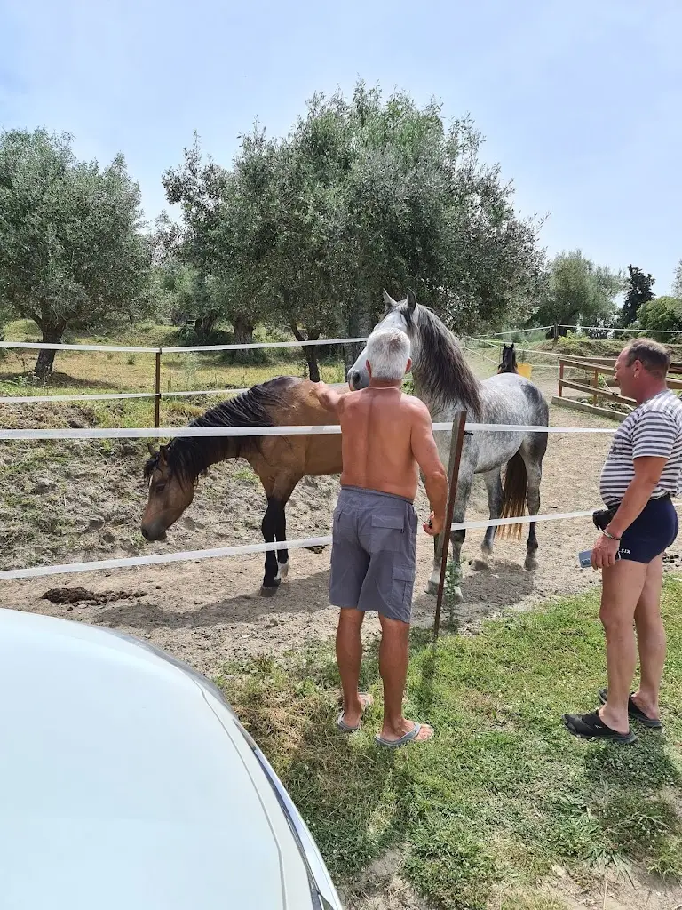 Meet_Platariá_slider_image_2