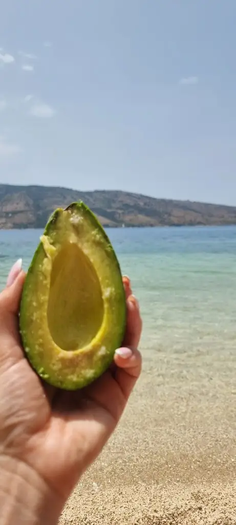 Menü_Kokkinos Vraxos Beach Bar_Platariá_Bild_5