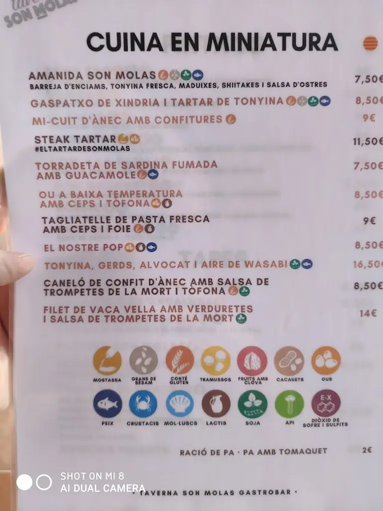 Menu_TERRA di Enzo_Préveza_imagen_2