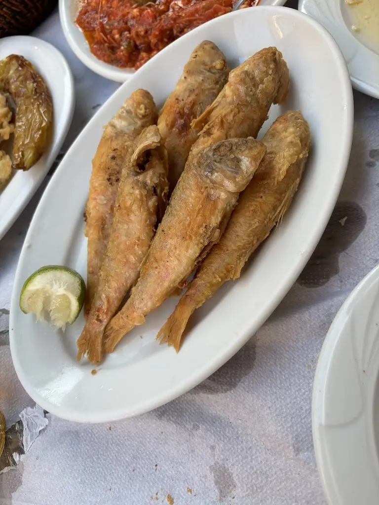 Michalis Vasilopoulos_Treli Garida_Préveza_Bewertung