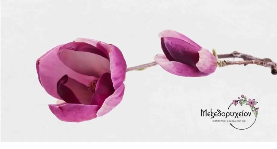 Μεζεδορυχείον Πρέβεζα_Préveza_slider_image_3