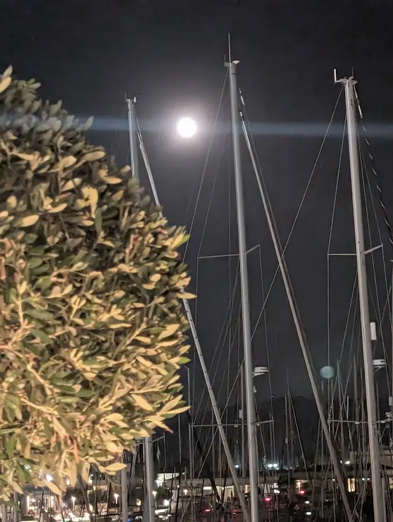 Angeliki Tsolka_Celest Bar - Restaurant_Préveza_review