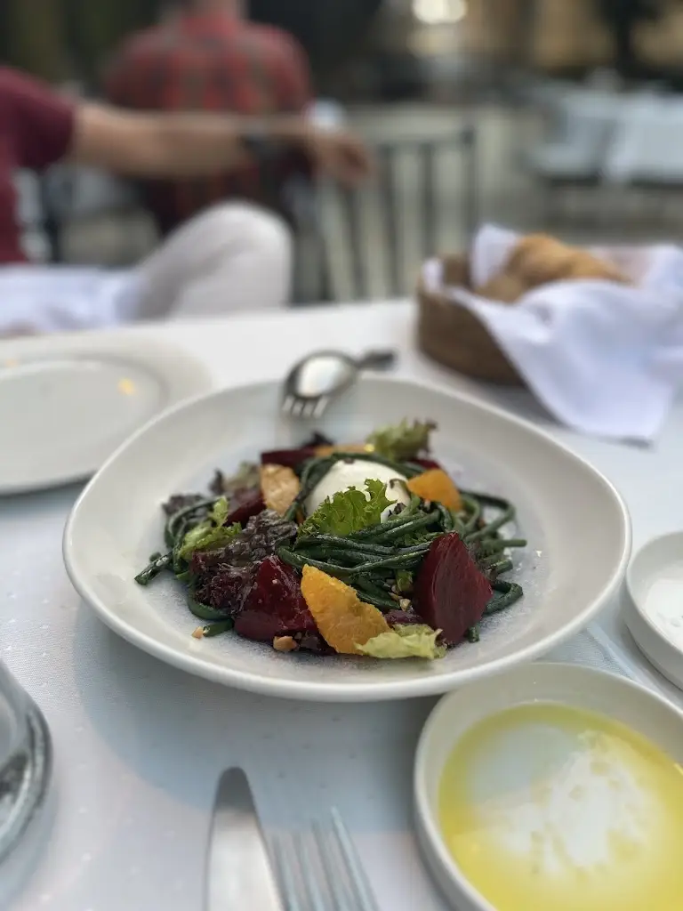 Mohsen Alizadeh_Fishalida’s Garden_Alepoú_Bewertung