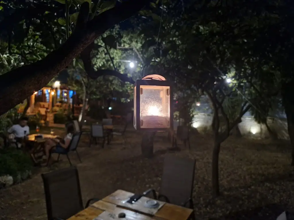 Catalin M_'The Garden' Restaurant & Cocktail Bar_Acharávi_Bewertung