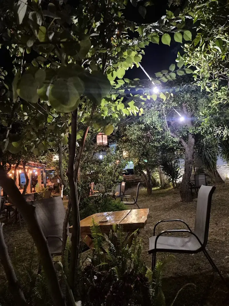 Teodora Molnar_'The Garden' Restaurant & Cocktail Bar_Acharávi_Bewertung