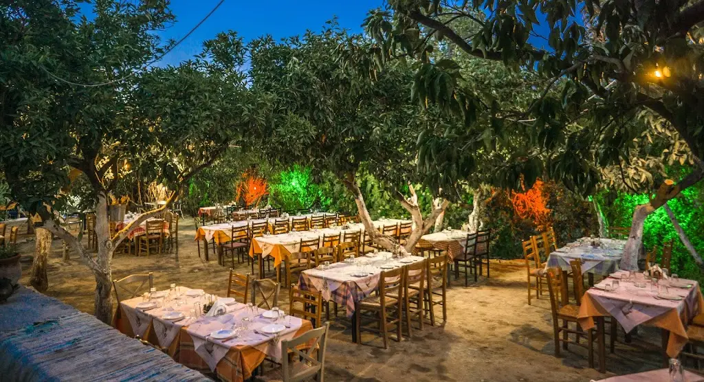 Pirounaki Traditional Tavern_Ambelókipoi_slider_image_1