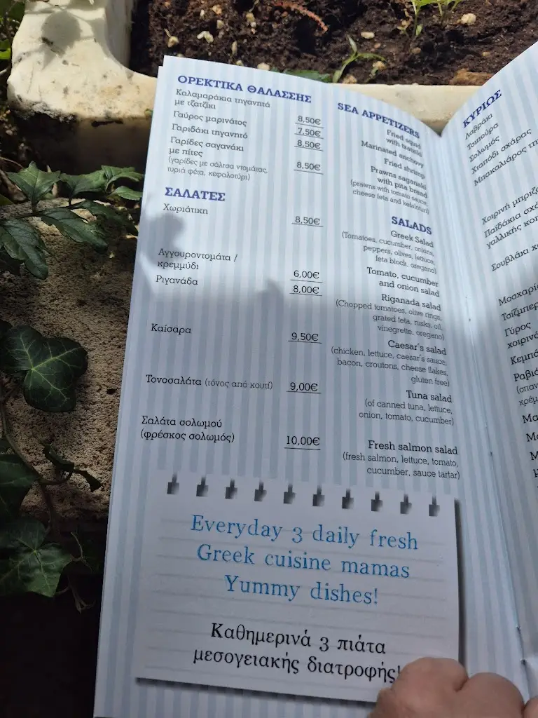 Menü_Tzogias Tavern_Argostólion_Bild_4