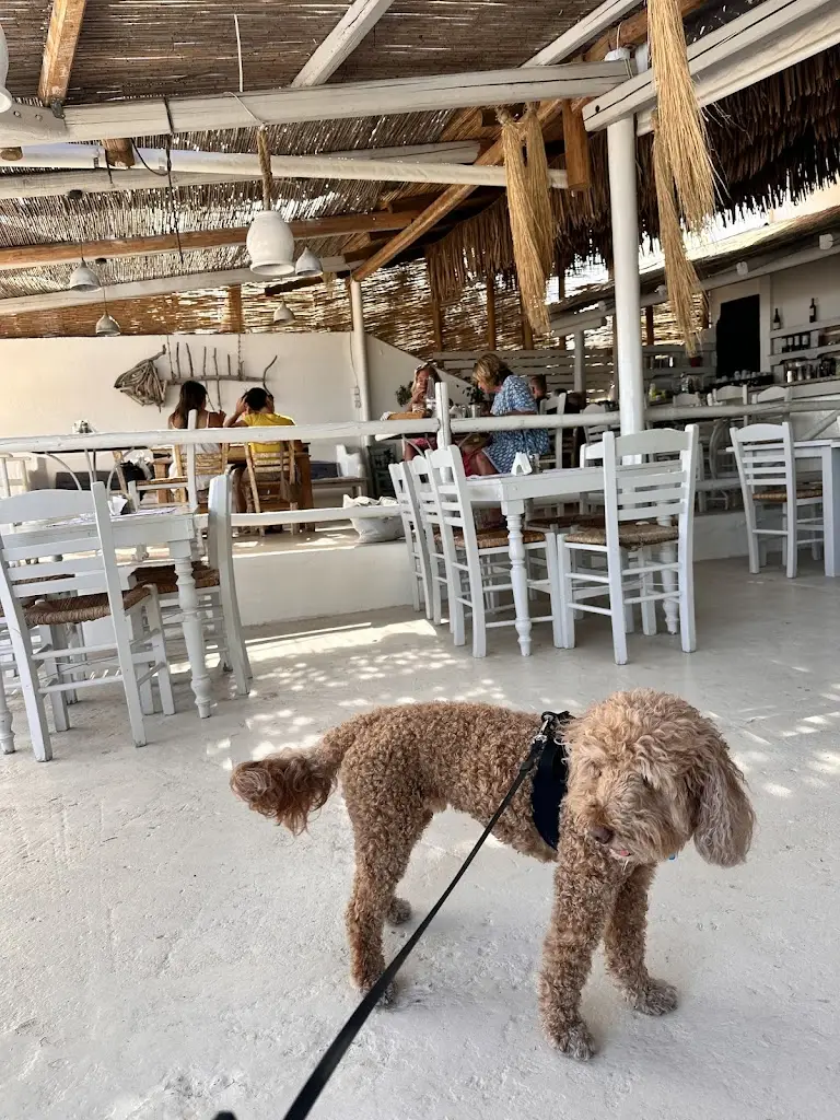 Priscilla Saavedra_kanali Beach Bar & Restaurant Poros_Kanáli_review