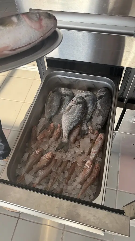 niko_DEL MARE_Kanáli_Bewertung